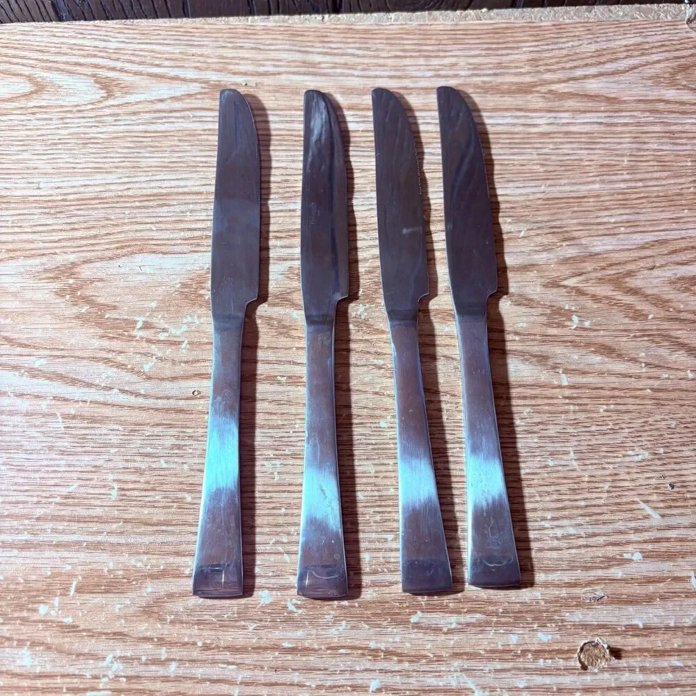Pfaltzgraff Everyday Stainless Steel Set of 4 Dinner Knives